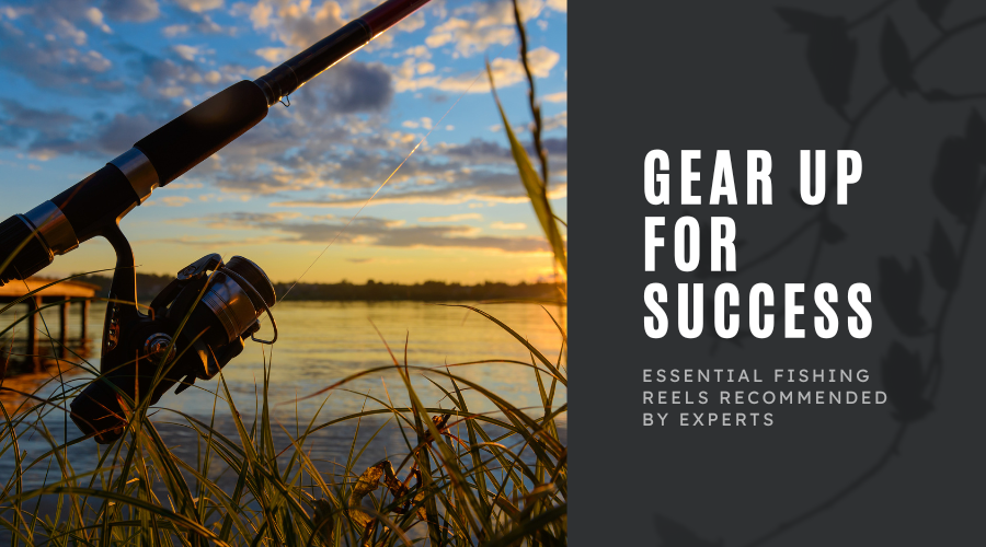 Gear Up for Success: Essential Fishing Reels Recommended by Experts