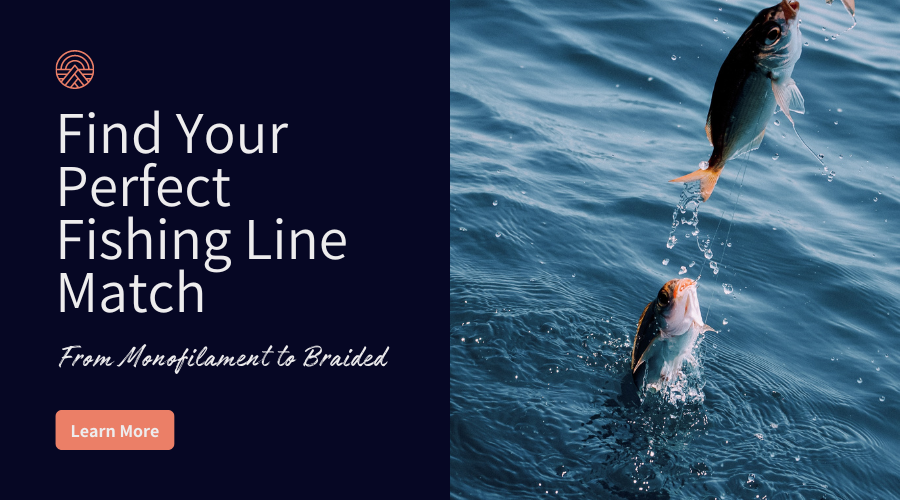 From Monofilament to Braided: Find Your Perfect Fishing Line Match